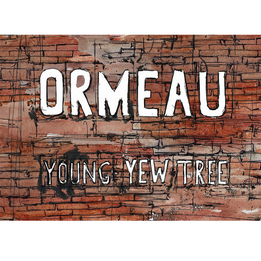 ORMEAU, Young-Yew-Tree