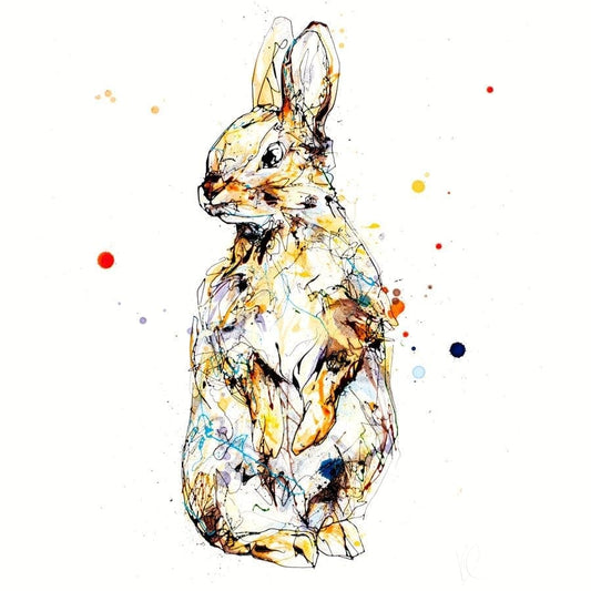 Pumpkin (Rabbit) - Kathryn Callaghan