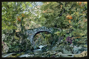 Tollymore Forest - Amber Jordan Design