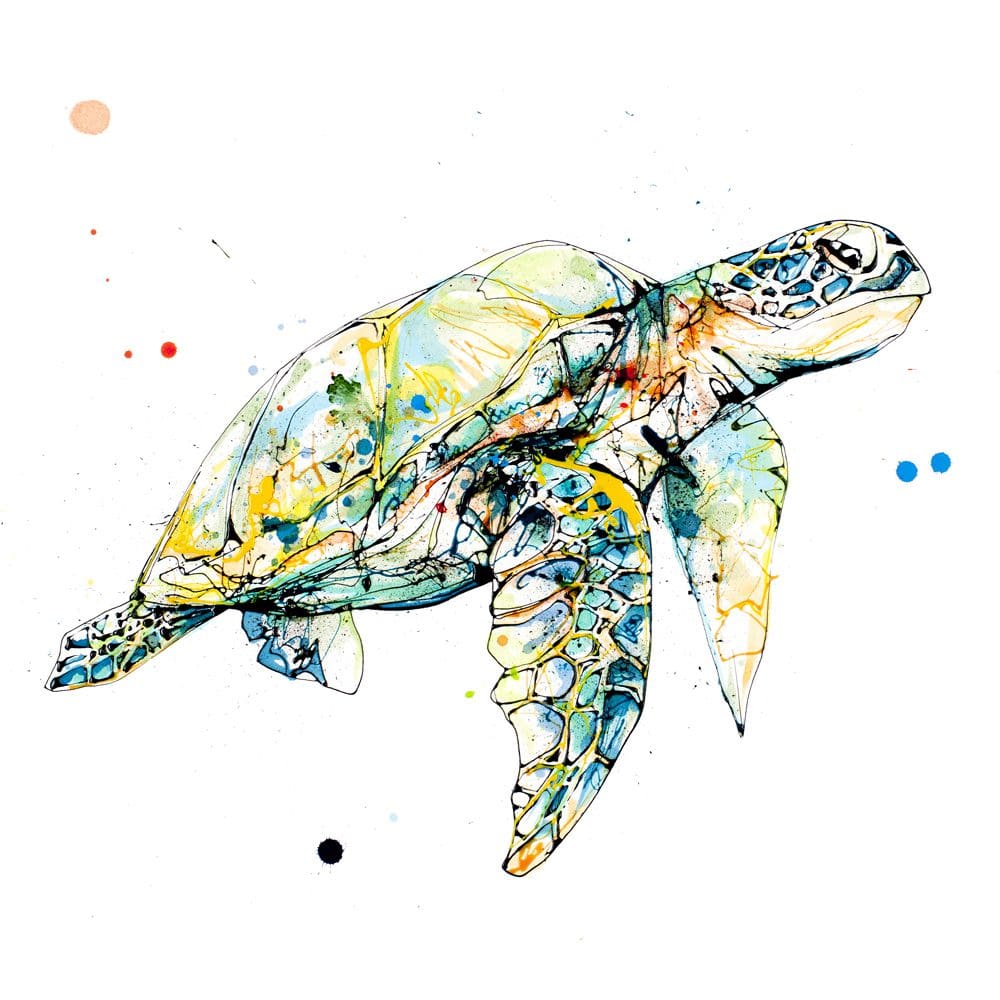 Tranquil (Sea Turtle) - Kathryn Callaghan