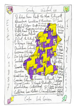 Load image into Gallery viewer, County Wexford - GAA County Colours
