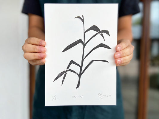 Willow (Limited Edition) - The Pear in Paper