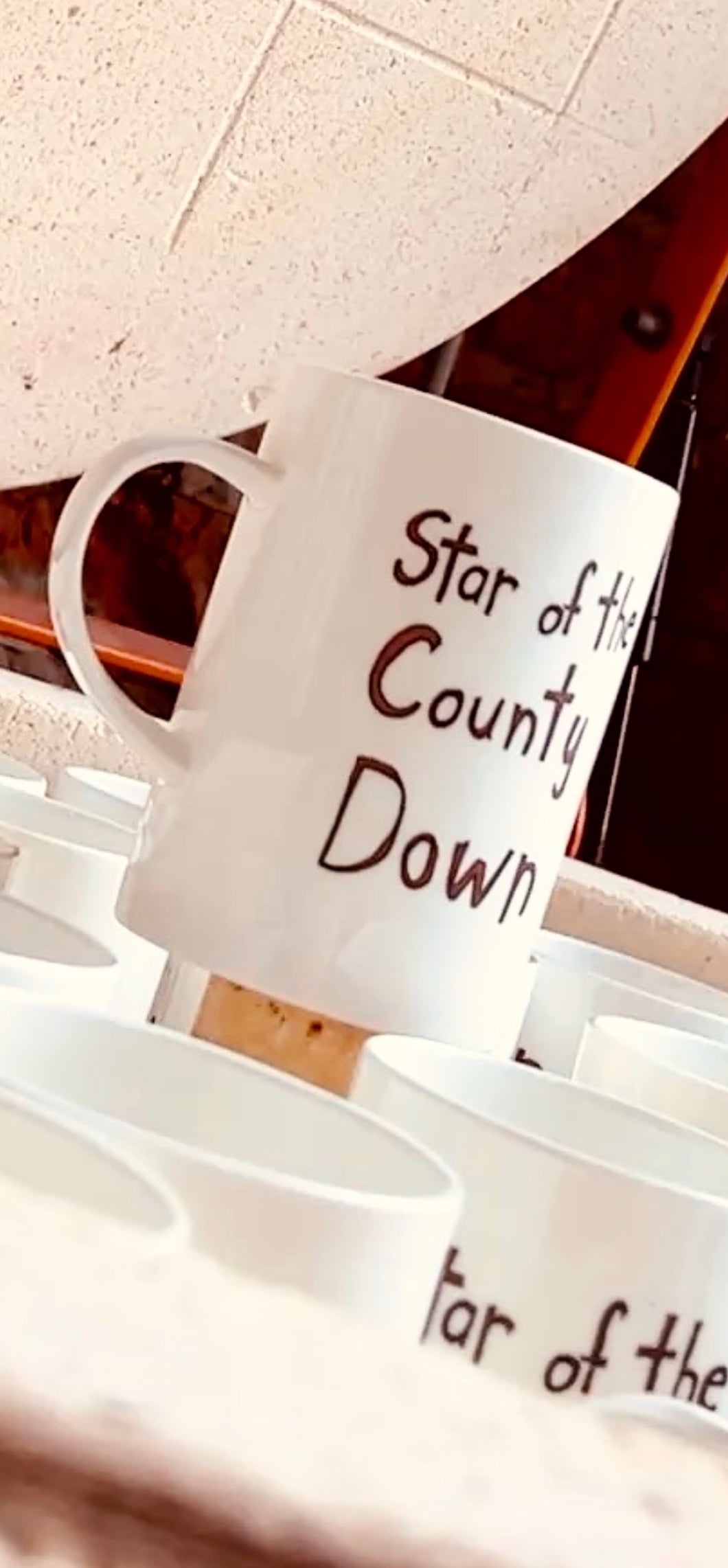 Star Of The County Down - Bone China Mug