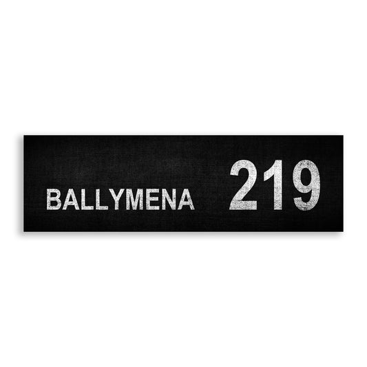 BALLYMENA 219