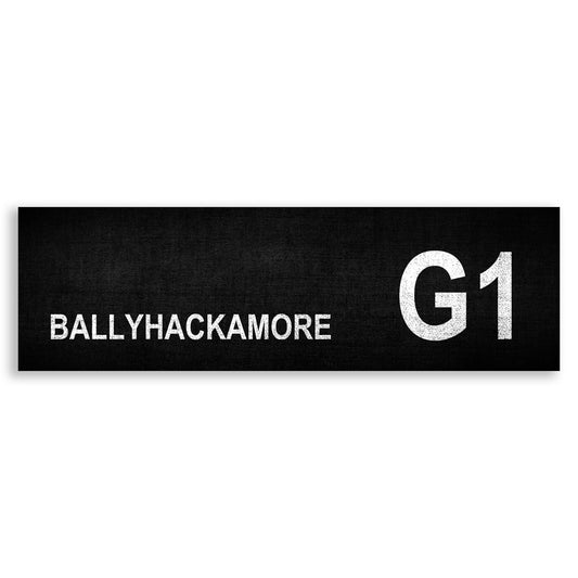 BALLYHACKAMORE G1