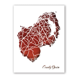 County DOWN - Papercut map - Designed Imagined Made in Ireland