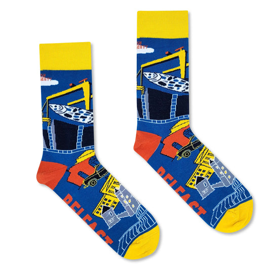BELFAST - Funny Irish Socks Made in Ireland