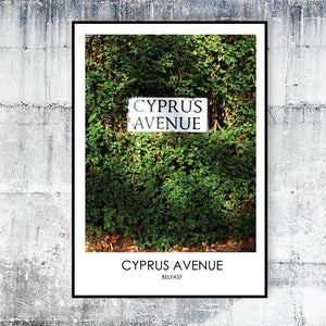 CYPRUS AVENUE BELFAST - Contemporary Photography Print from Northern Ireland
