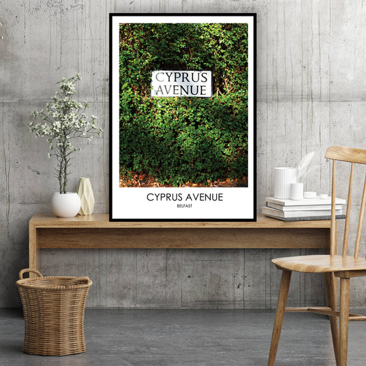 CYPRUS AVENUE BELFAST - Contemporary Photography Print from Northern Ireland