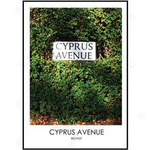 Load image into Gallery viewer, CYPRUS AVENUE BELFAST - Contemporary Photography Print from Northern Ireland

