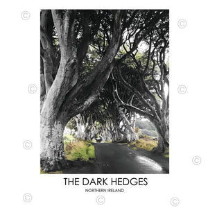 THE DARK HEDGES NORTHERN IRELAND - Contemporary Photography Print from Northern Ireland