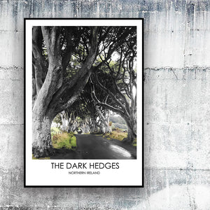 THE DARK HEDGES NORTHERN IRELAND - Contemporary Photography Print from Northern Ireland