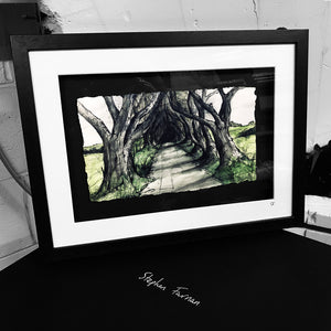 THE DARK HEDGES - Road to Kings Landing County Antrim by Stephen Farnan