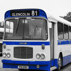 GLENCOLIN 81