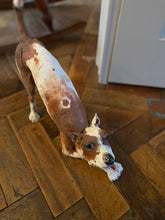 Load image into Gallery viewer, &#39;Desire&#39; - Street Dog - Handmade Ceramic Sculpture
