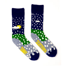 Load image into Gallery viewer, SUNNY SPELLS AND SCATTERED SHOWERS - Funny Irish Socks Made in Ireland
