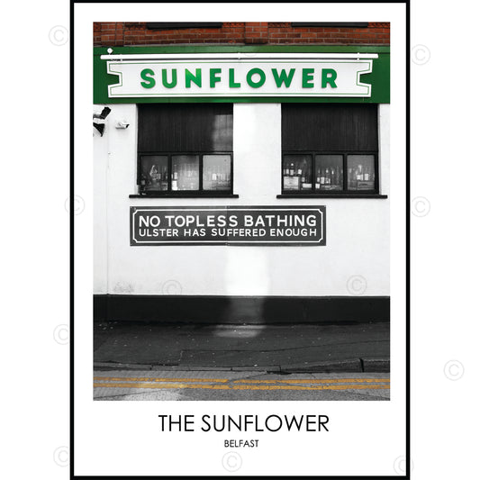 THE SUNFLOWER BELFAST - Contemporary Photography Print from Northern Ireland